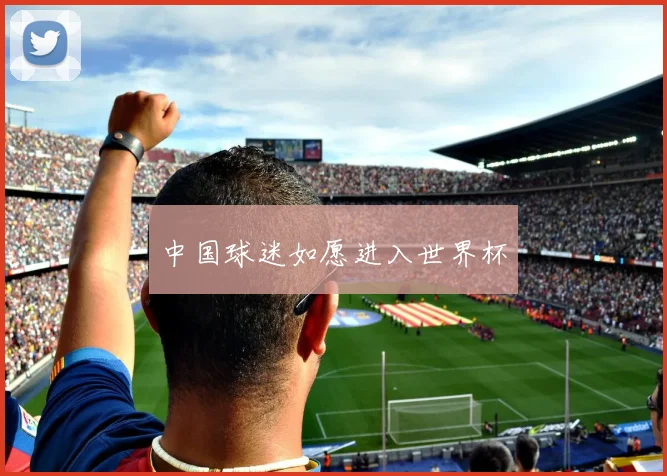 中国球迷如愿进入世界杯