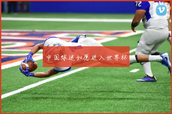 中国球迷如愿进入世界杯